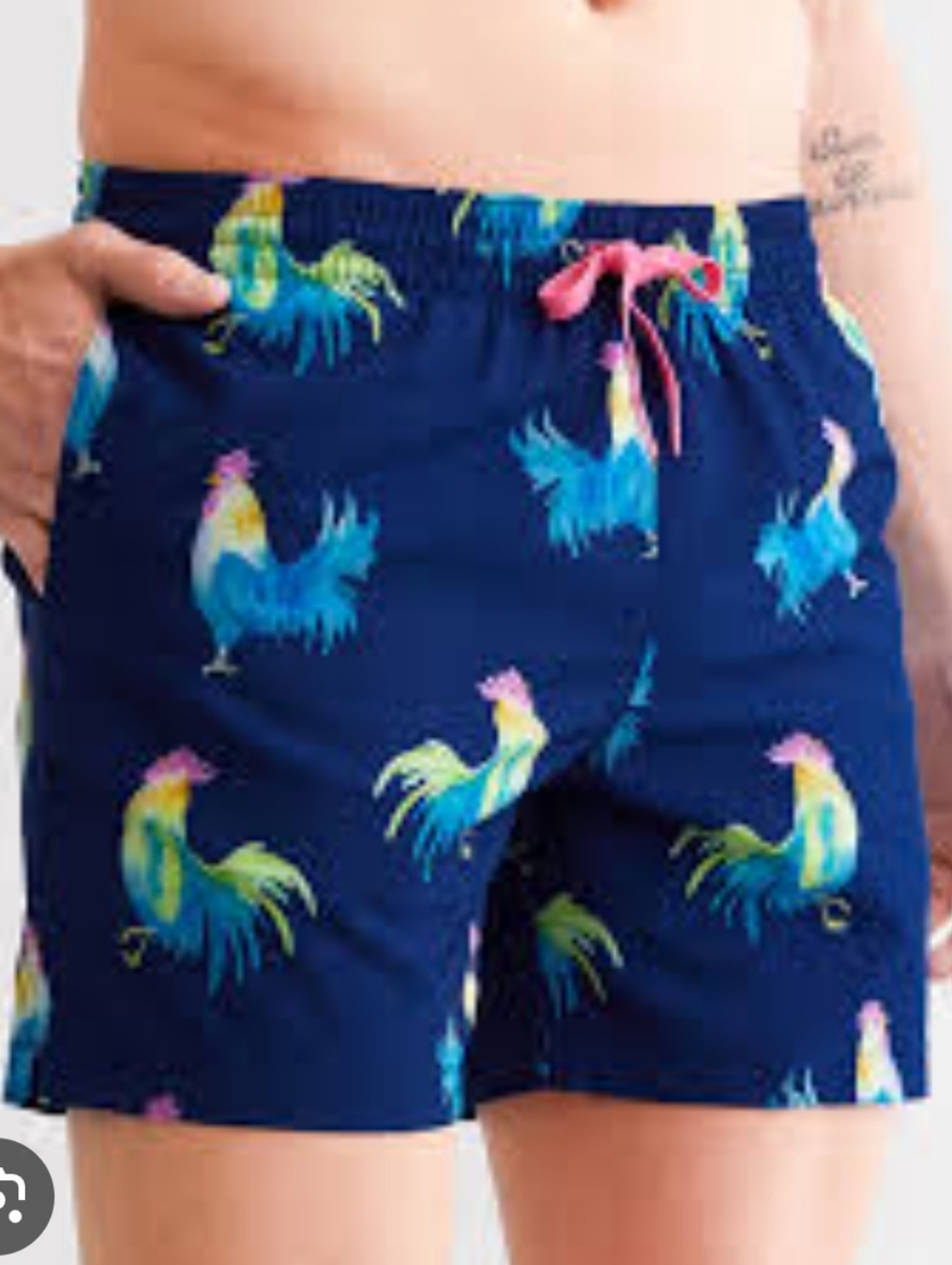Chubbies The Fowl Play Stretch Swim Trunks Small